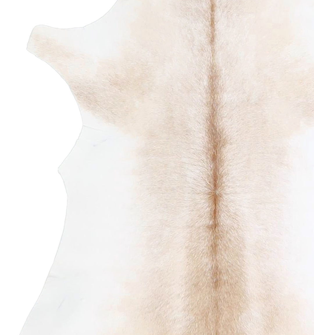 Calfhide Approx 2'x3' #A42194 by Hudson Hides