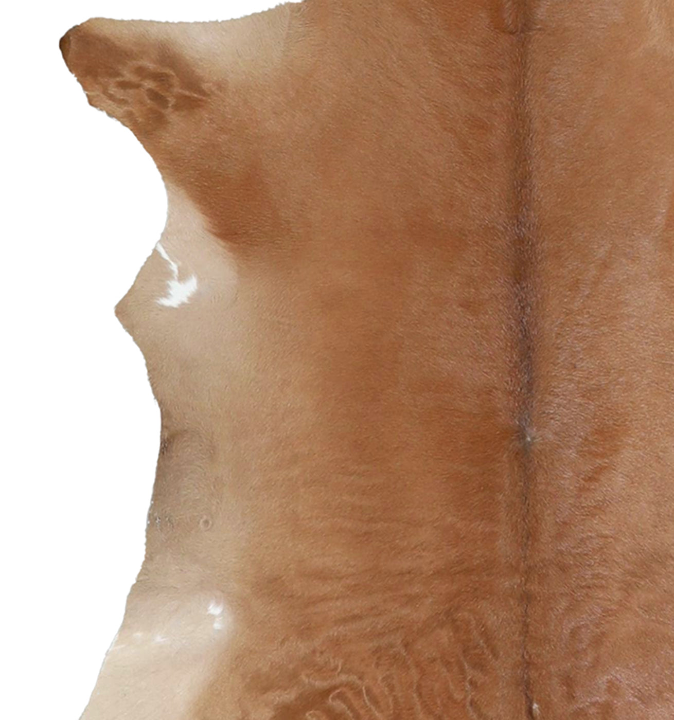Calfhide Rug #A42195