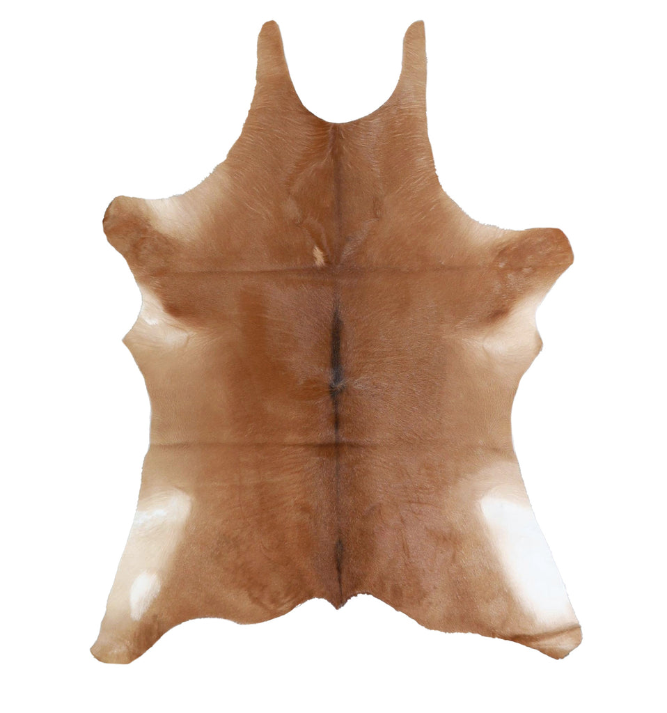 Calfhide Approx 2'x3' #A42201 by Hudson Hides