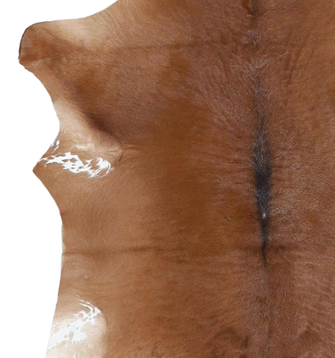 Calfhide Approx 2'x3' #A42202 by Hudson Hides
