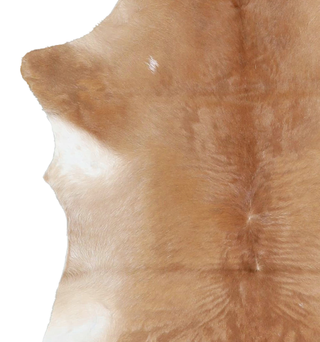 Calfhide Rug #A42204