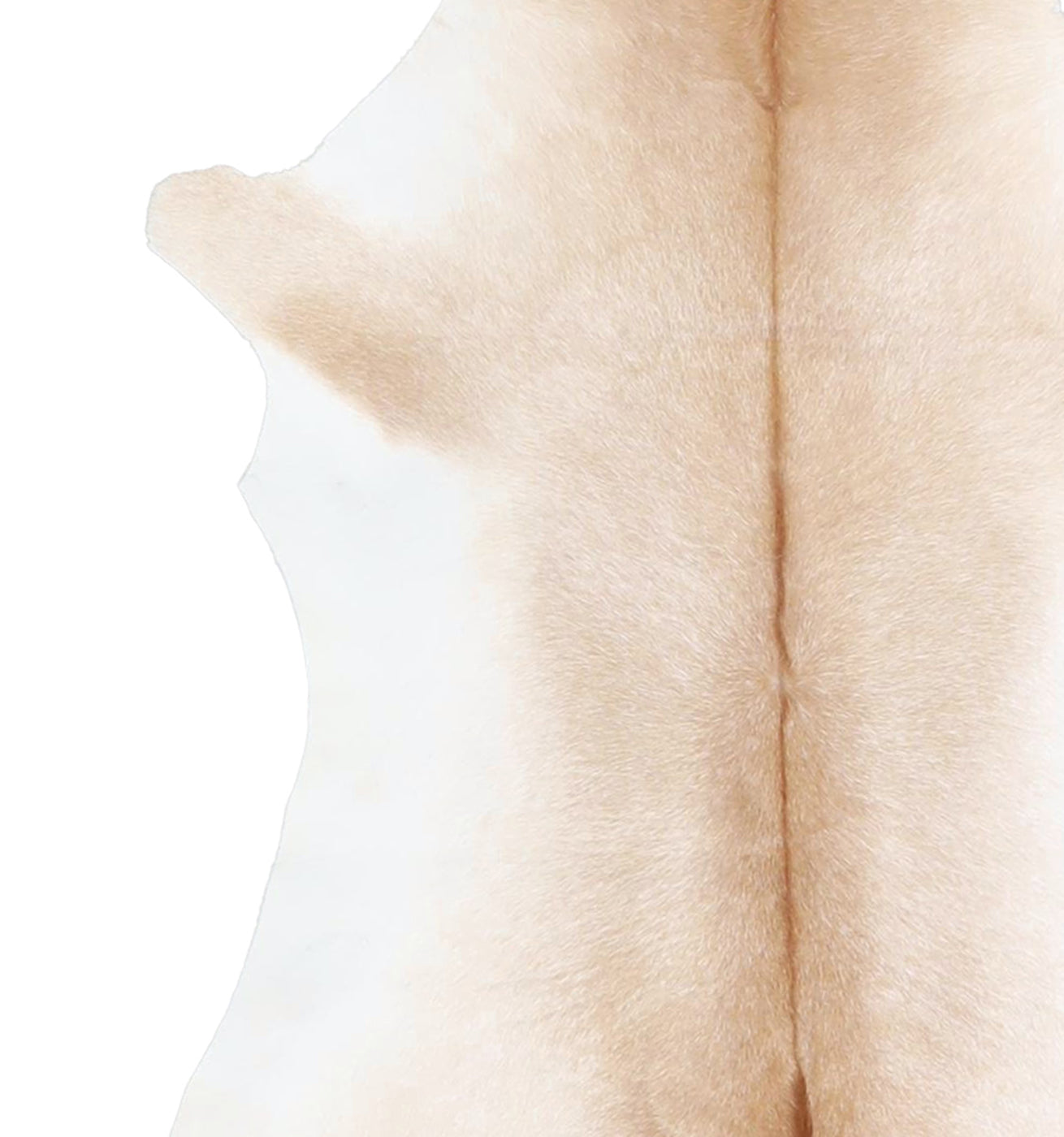 Calfhide Rug #A42213