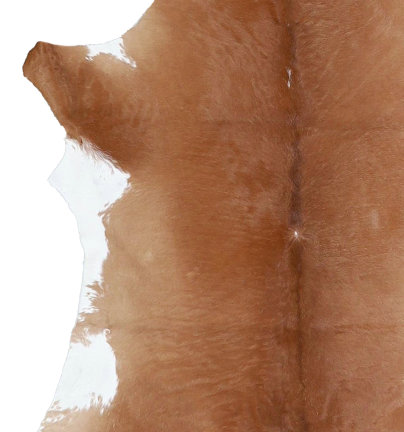 Calfhide Rug #A42214