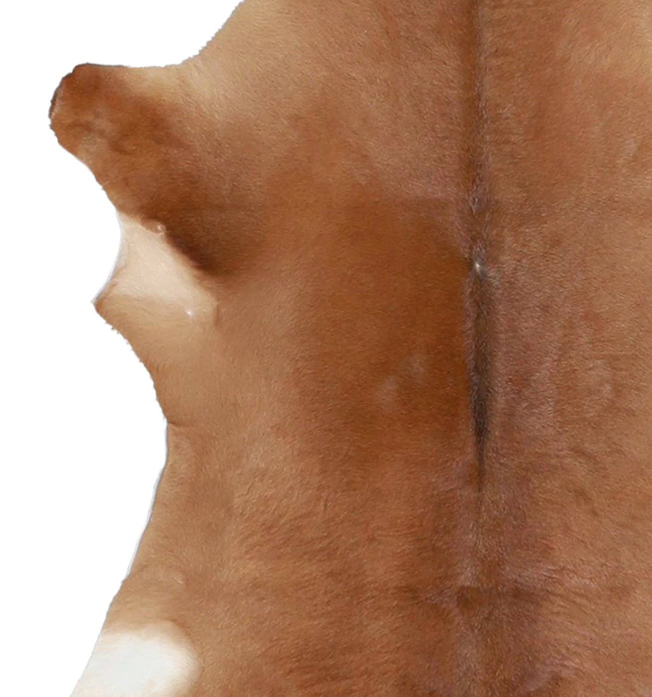 Calfhide Rug #A42216