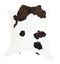 Calfhide Approx 2'x3' #A42224 by Hudson Hides
