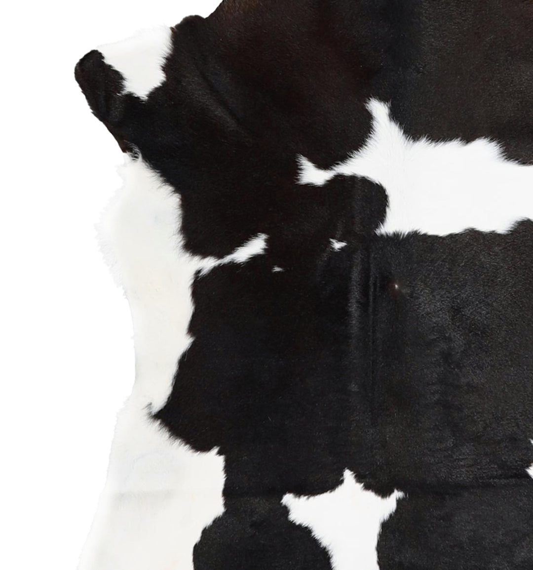 Calfhide Approx 2'x3' #A42230 by Hudson Hides