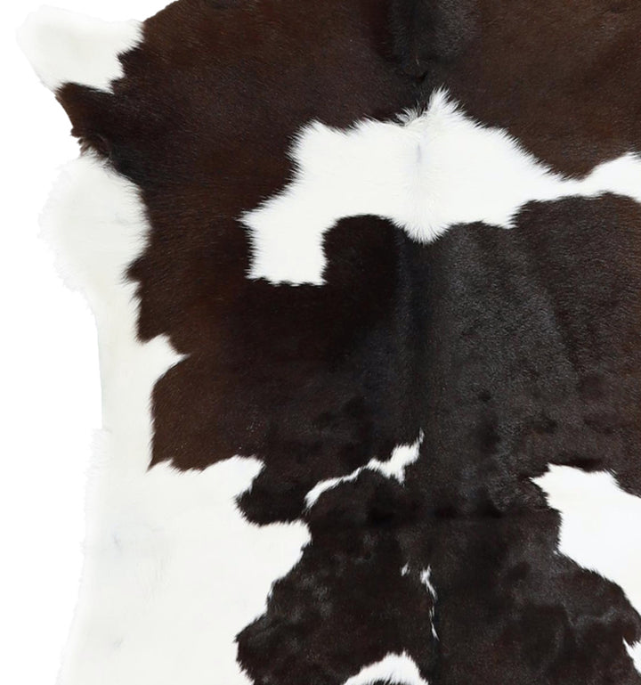 Calfhide Approx 2'x3' #A42237 by Hudson Hides