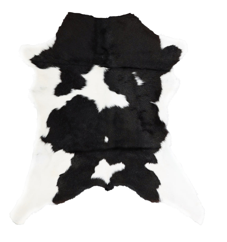 Calfhide Approx 2'x3' #A42239 by Hudson Hides