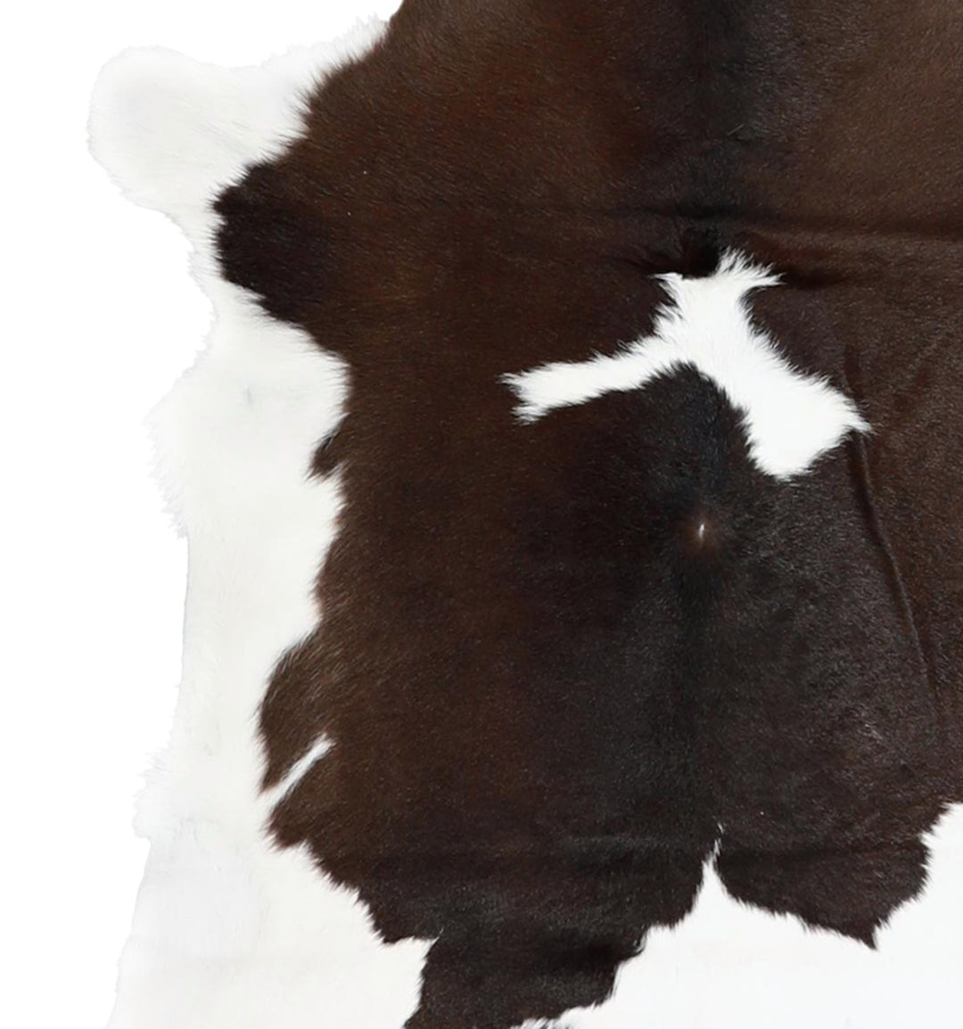 Calfhide Approx 2'x3' #A42241 by Hudson Hides