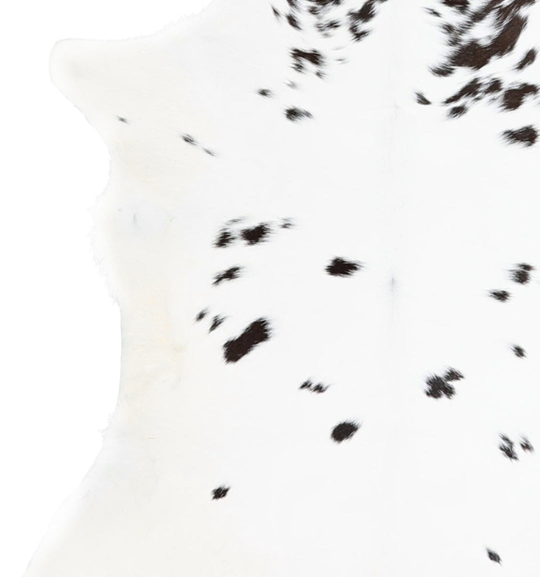 Calfhide Approx 2'x3' #A42243 by Hudson Hides