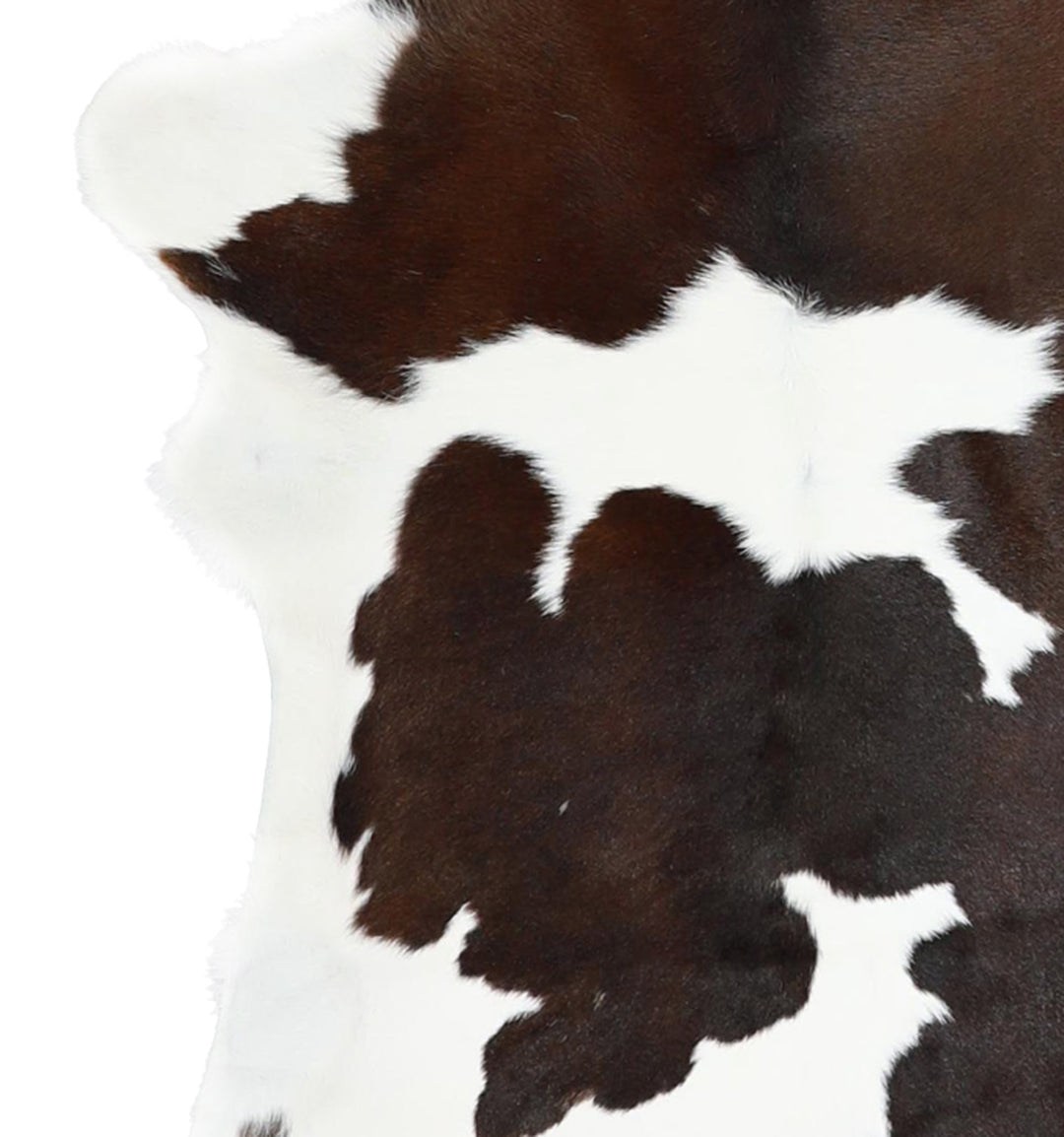 Calfhide Approx 2'x3' #A42246 by Hudson Hides
