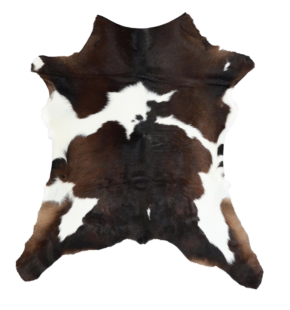 Calfhide Approx 2'x3' #A42248 by Hudson Hides
