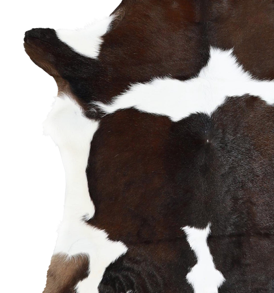 Calfhide Approx 2'x3' #A42258 by Hudson Hides