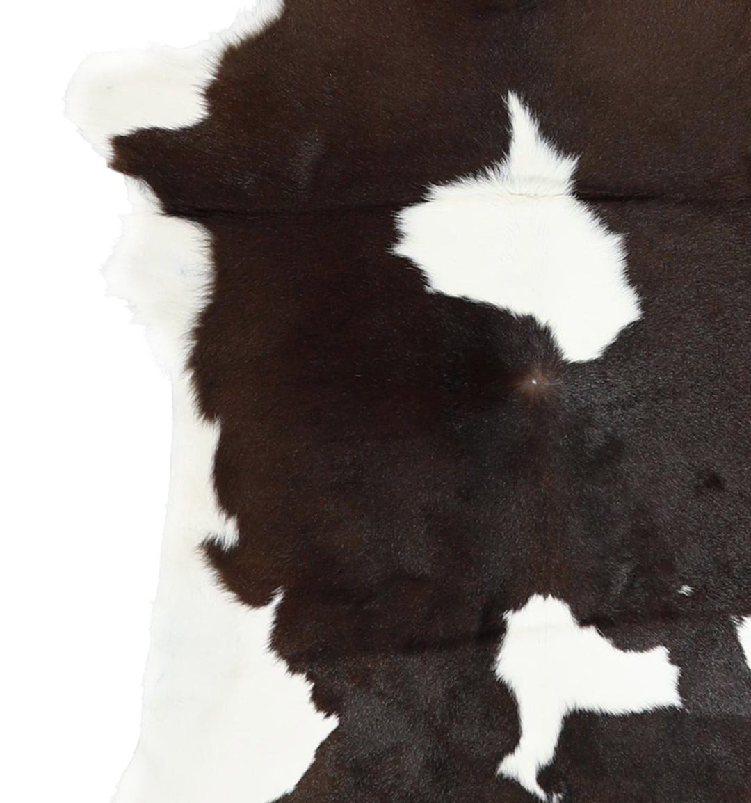 Calfhide Approx 2'x3' #A42259 by Hudson Hides