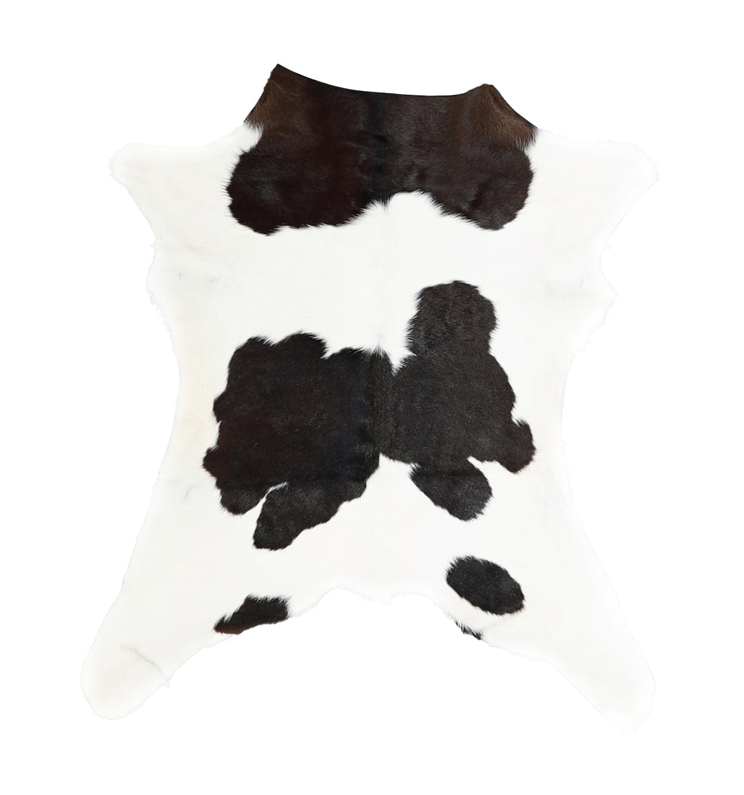 Calfhide Approx 2'x3' #A42261 by Hudson Hides