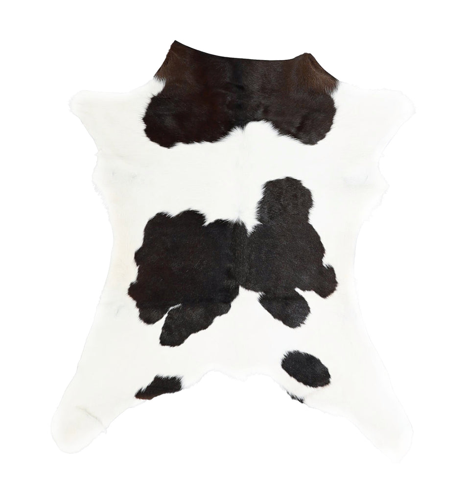 Calfhide Approx 2'x3' #A42261 by Hudson Hides