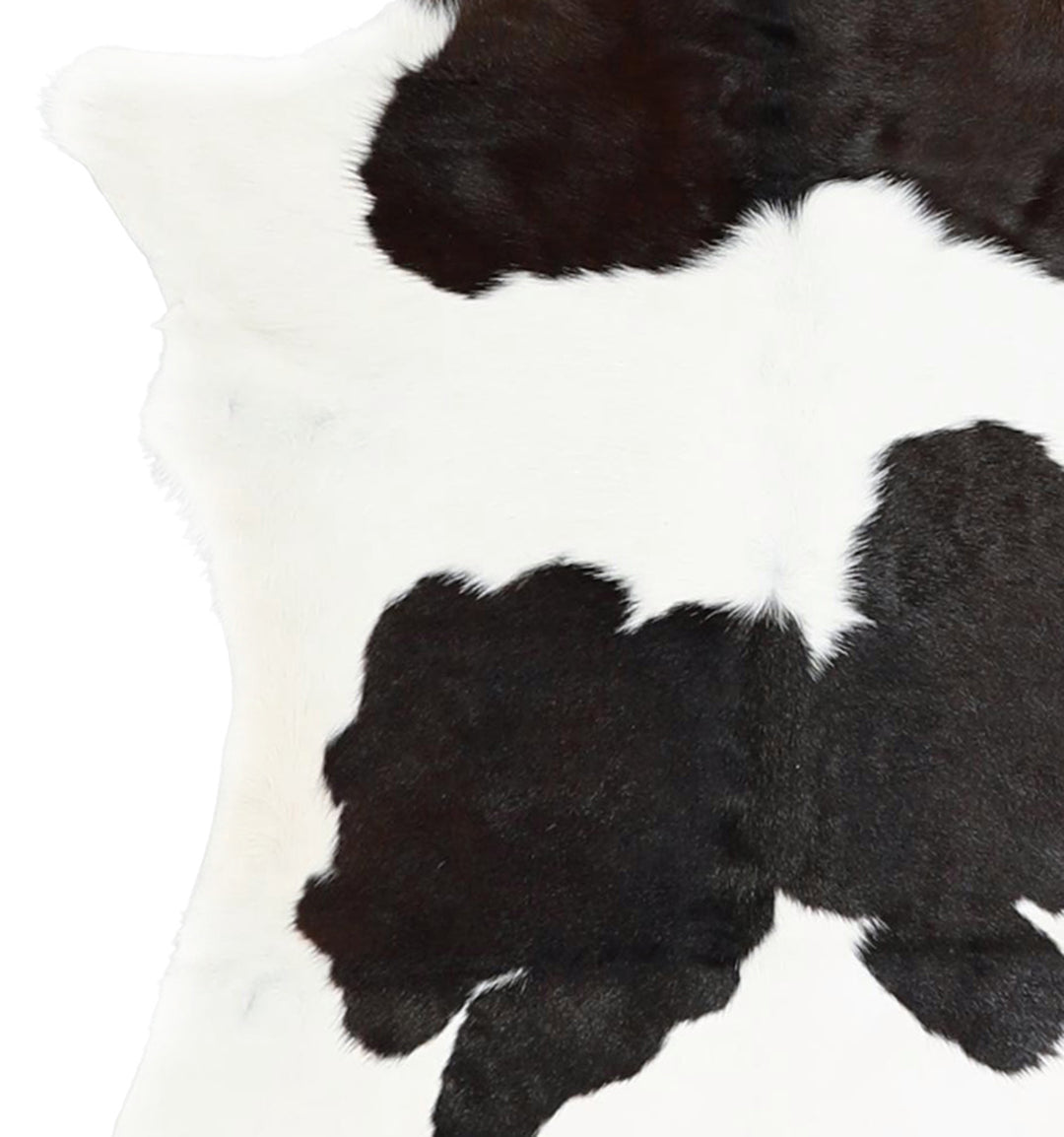 Calfhide Approx 2'x3' #A42261 by Hudson Hides