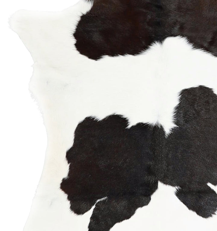 Calfhide Approx 2'x3' #A42261 by Hudson Hides