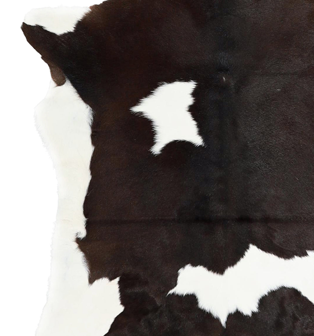 Calfhide Approx 2'x3' #A42265 by Hudson Hides