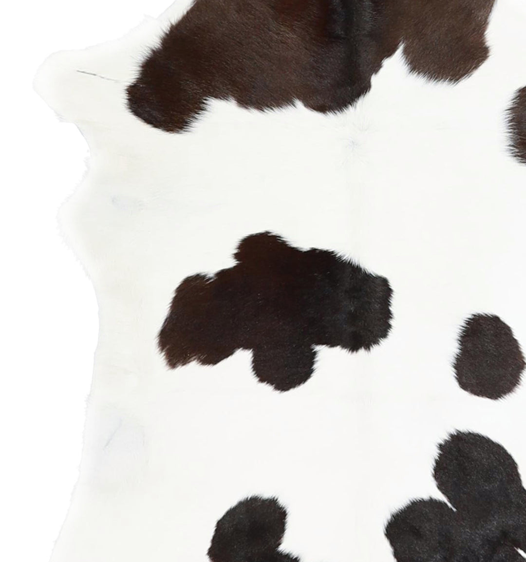 Calfhide Approx 2'x3' #A42267 by Hudson Hides