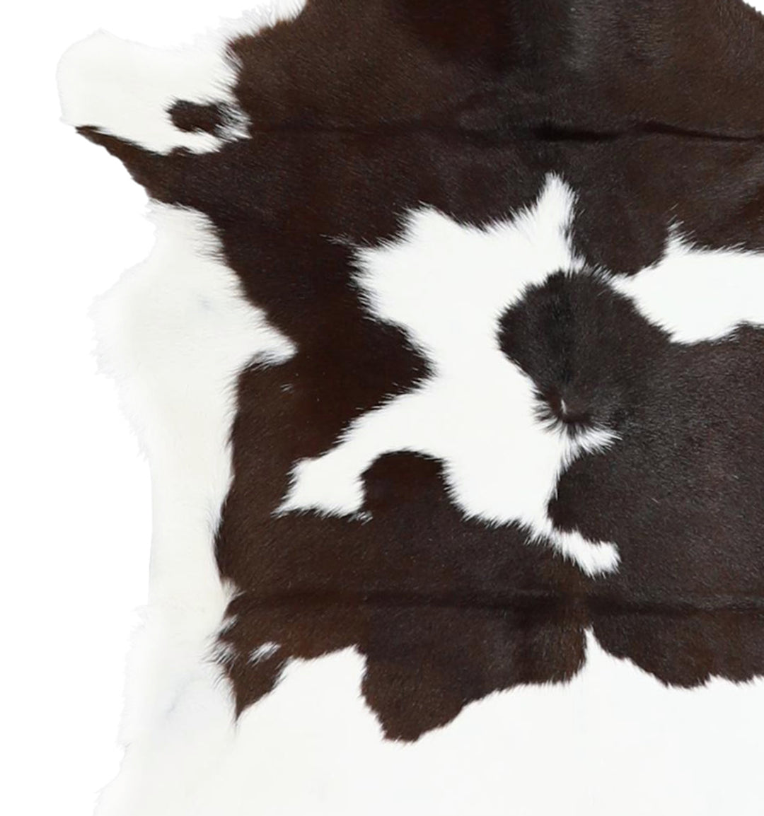 Calfhide Approx 2'x3' #A42268 by Hudson Hides