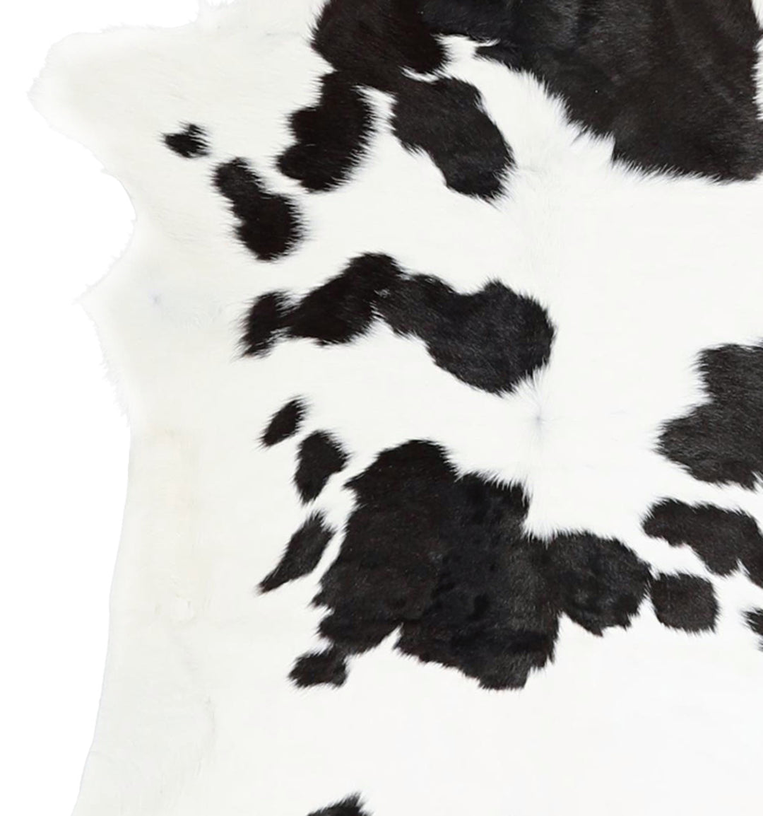 Calfhide Approx 2'x3' #A42269 by Hudson Hides