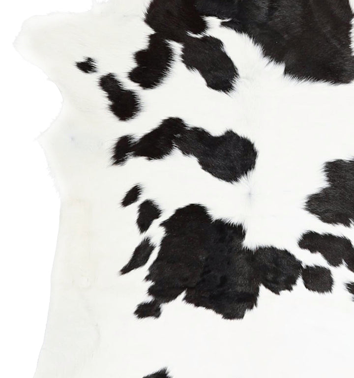 Calfhide Approx 2'x3' #A42269 by Hudson Hides