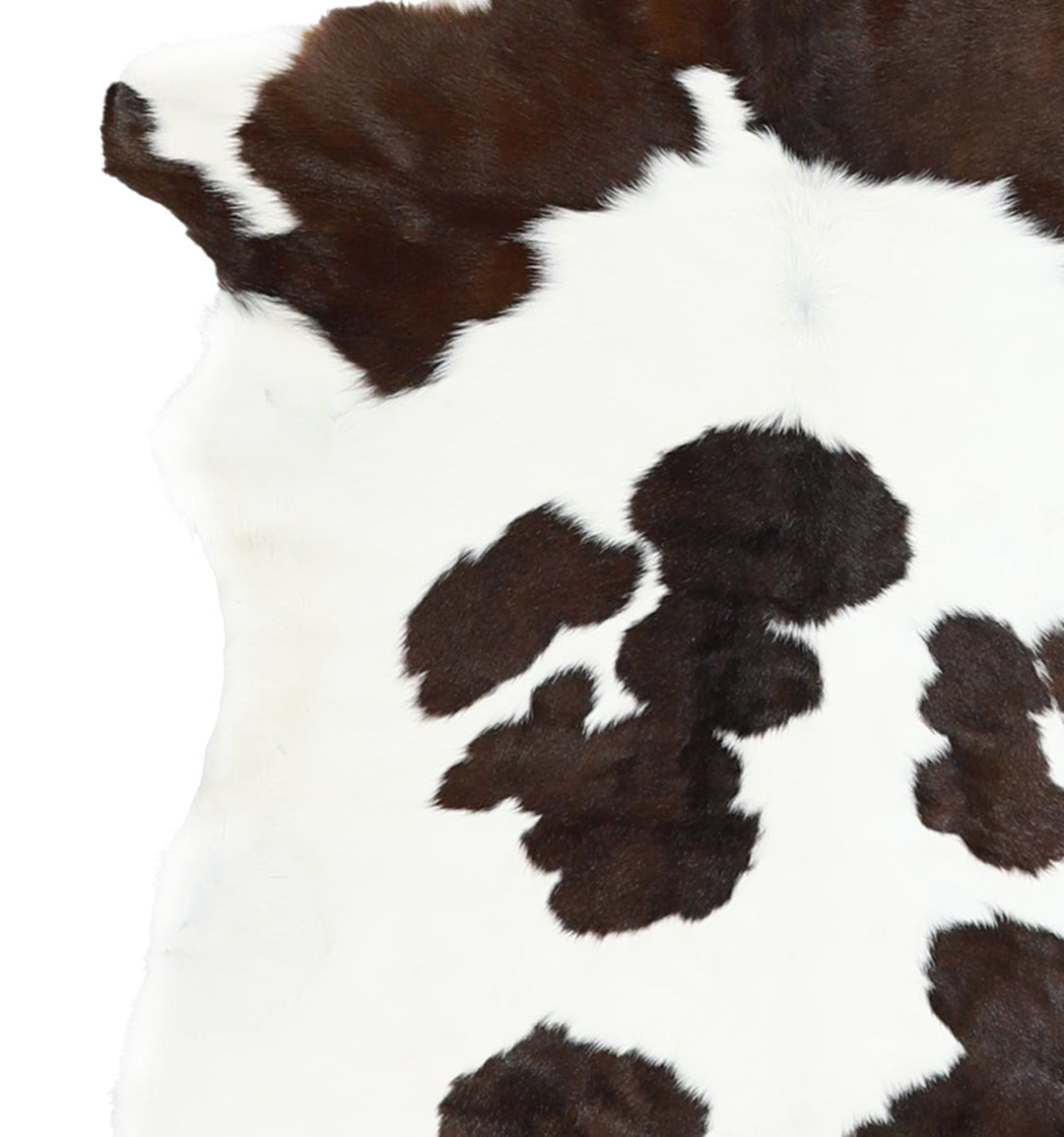 Calfhide Approx 2'x3' #A42270 by Hudson Hides