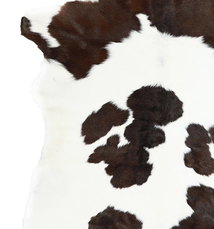 Calfhide Approx 2'x3' #A42270 by Hudson Hides