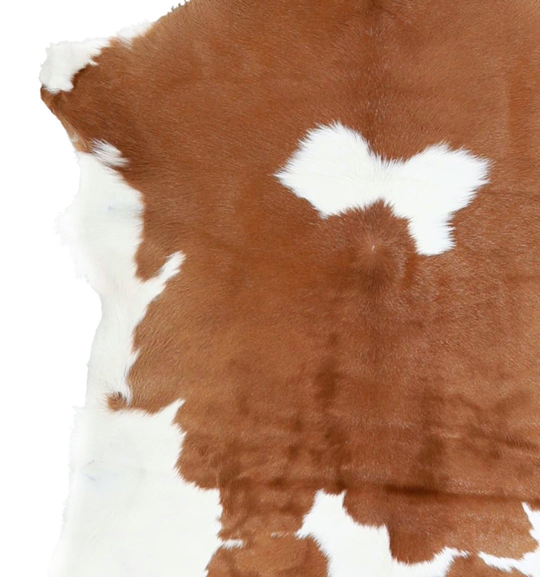 Calfhide Approx 2'x3' #A42289 by Hudson Hides
