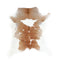Calfhide Approx 2'x3' #A42301 by Hudson Hides