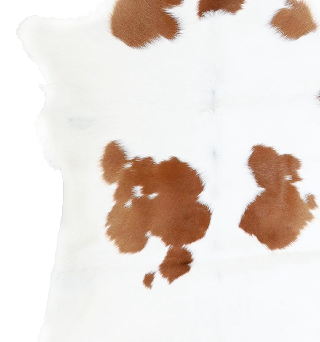 Calfhide Approx 2'x3' #A42316 by Hudson Hides