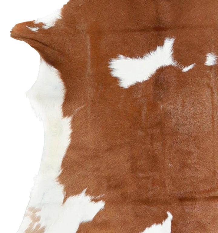 Calfhide Approx 2'x3' #A42321 by Hudson Hides