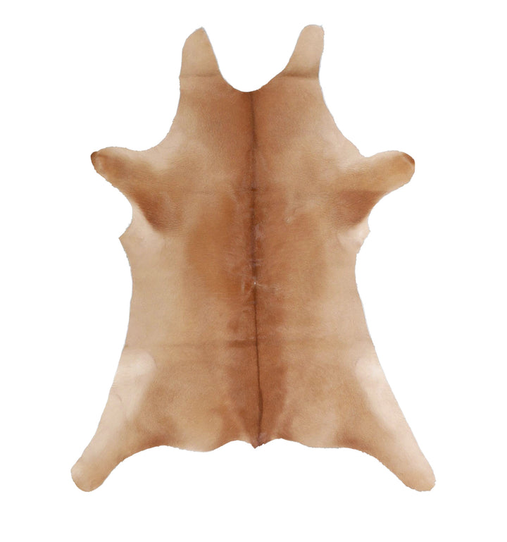 Calfhide Approx 2'x3' #A42331 by Hudson Hides