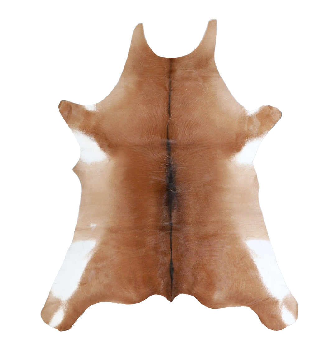 Calfhide Approx 2'x3' #A42335 by Hudson Hides