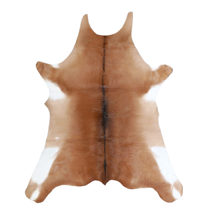Calfhide Approx 2'x3' #A42335 by Hudson Hides