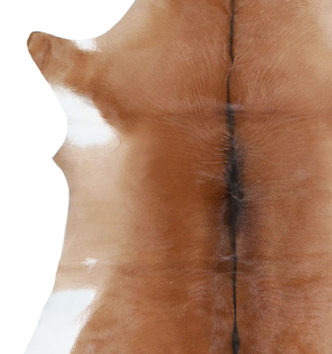 Calfhide Approx 2'x3' #A42335 by Hudson Hides