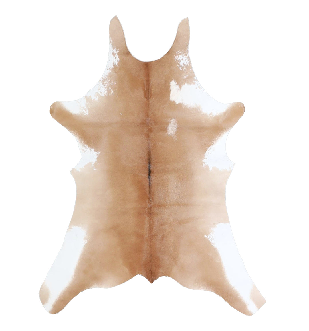 Calfhide Approx 2'x3' #A42337 by Hudson Hides