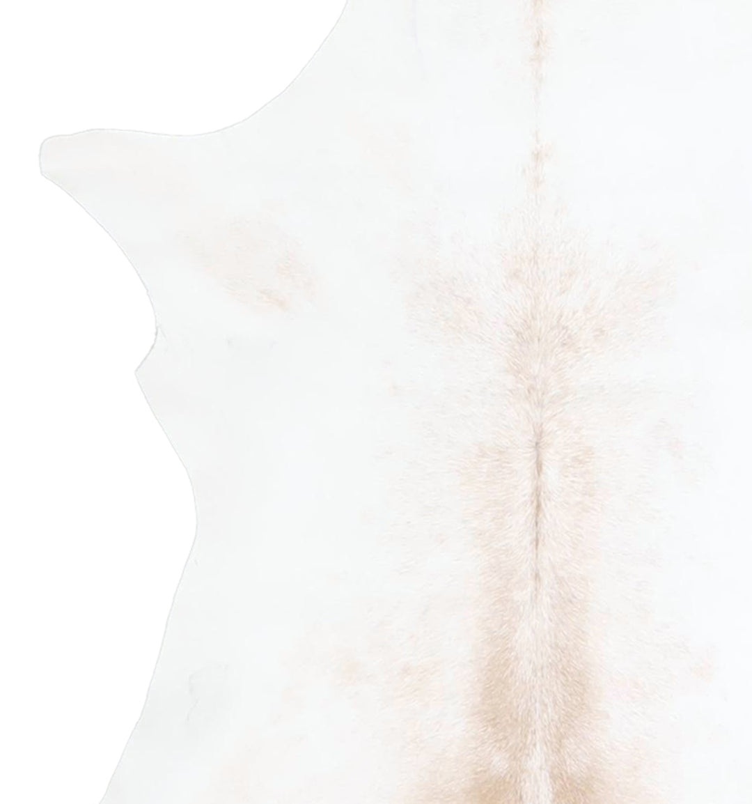 Calfhide Approx 2'x3' #A42338 by Hudson Hides
