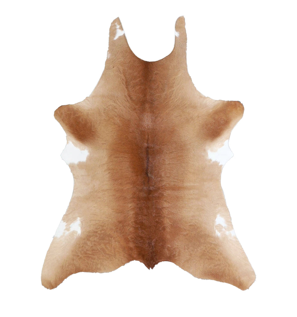 Calfhide Approx 2'x3' #A42339 by Hudson Hides
