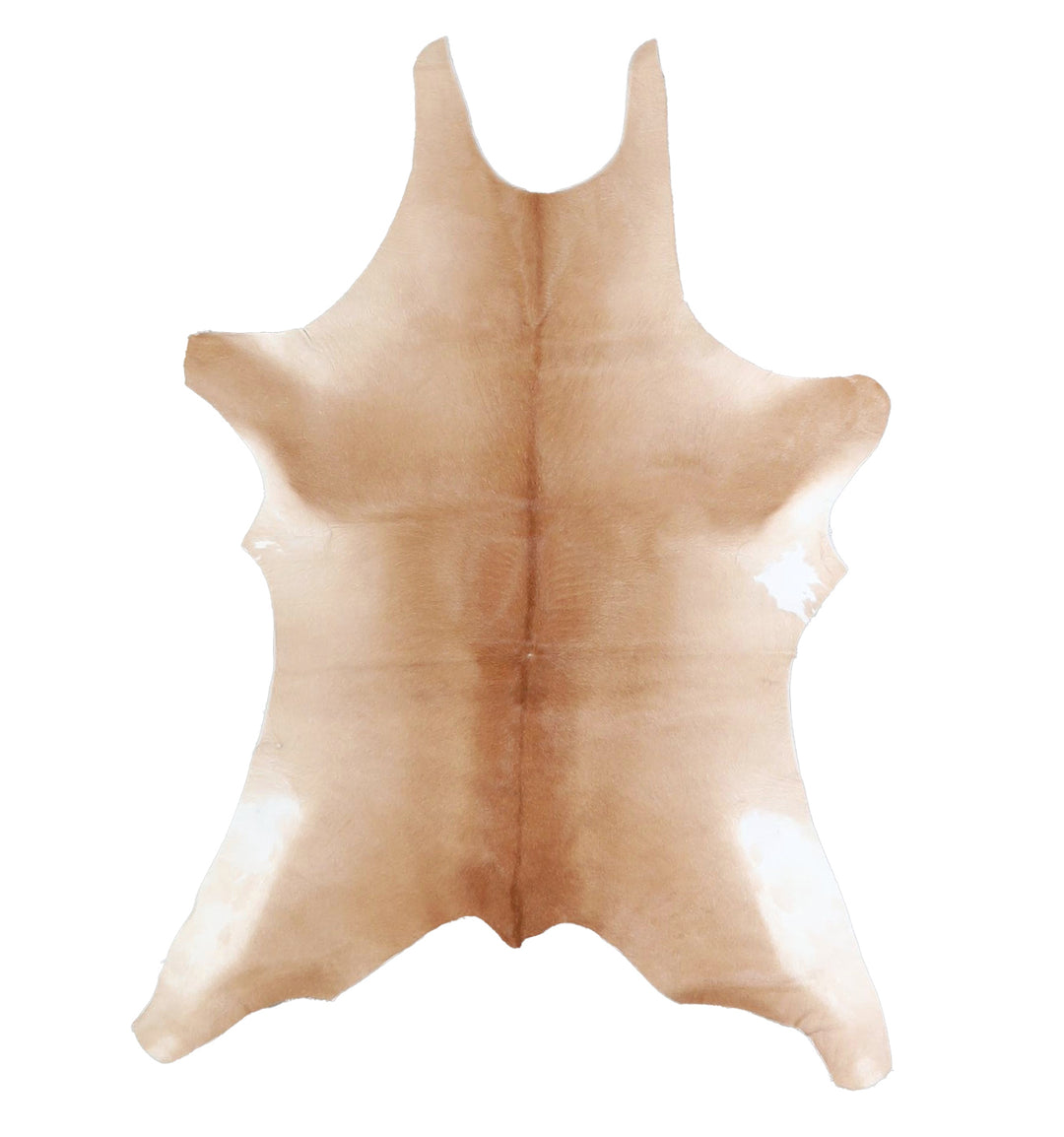 Calfhide Approx 2'x3' #A42340 by Hudson Hides