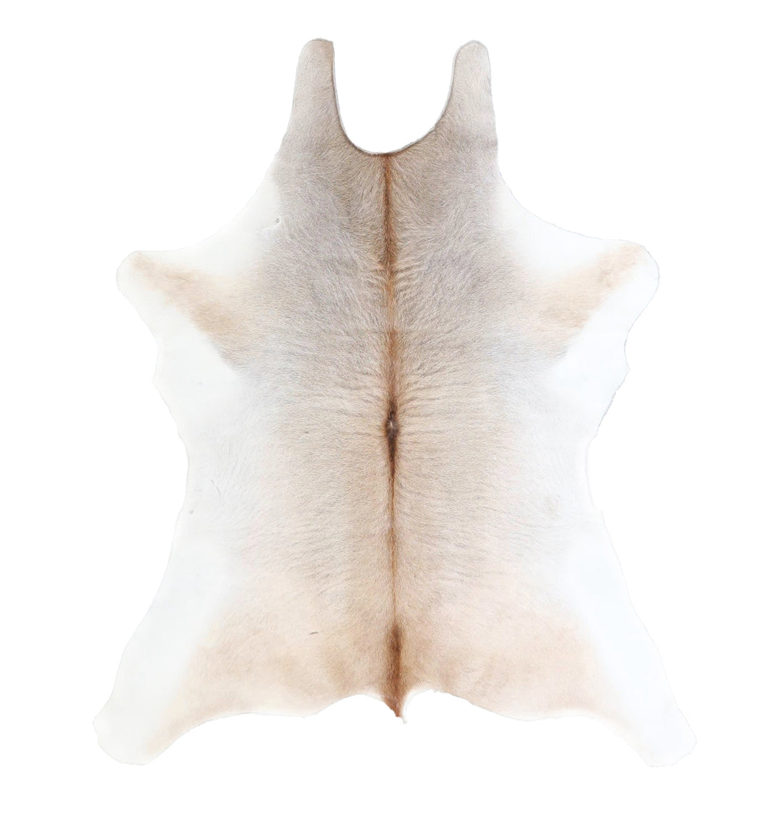 Calfhide Approx 2'x3' #A42345 by Hudson Hides