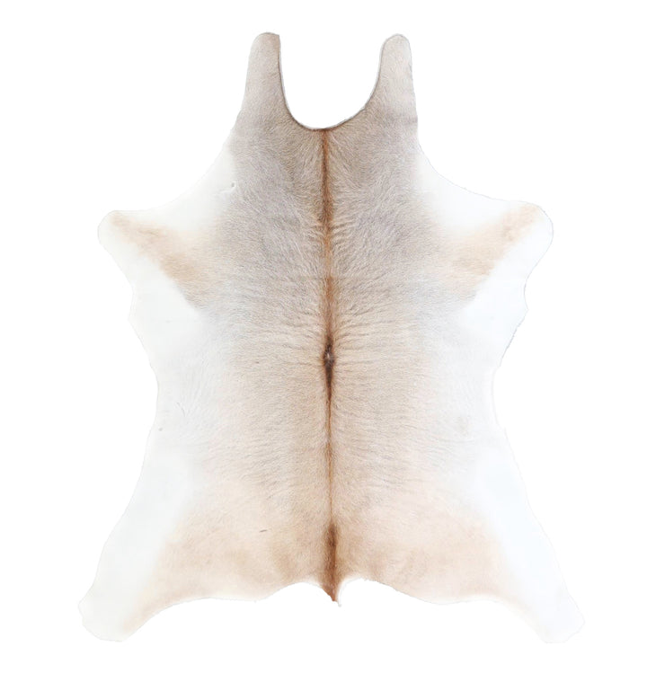 Calfhide Approx 2'x3' #A42345 by Hudson Hides