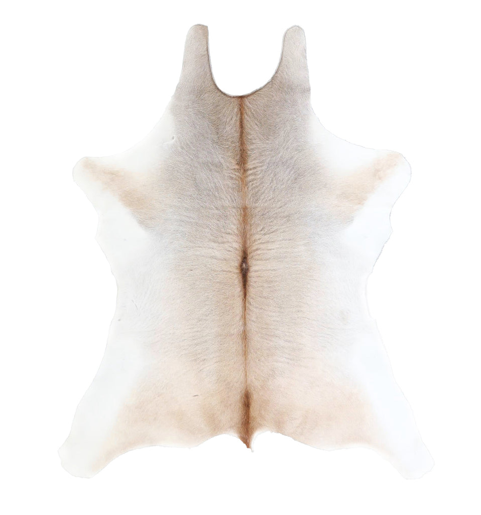 Calfhide Approx 2'x3' #A42345 by Hudson Hides