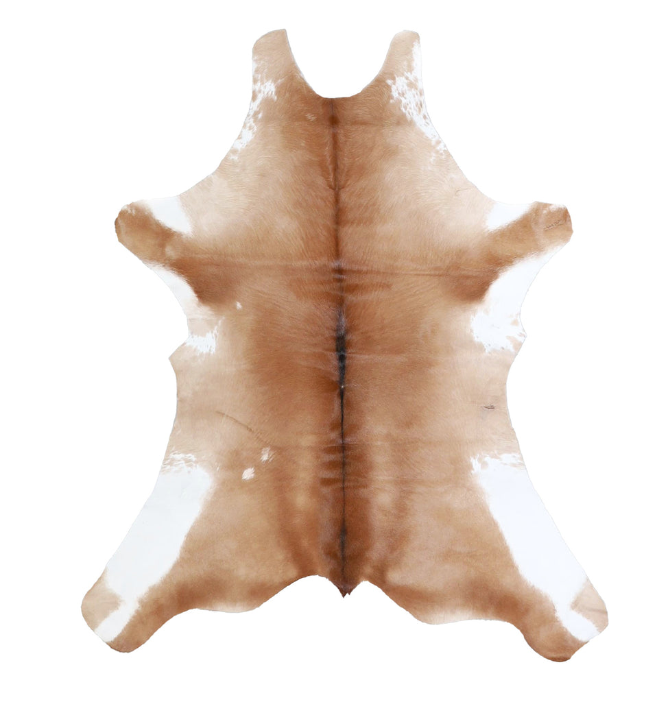 Calfhide Approx 2'x3' #A42348 by Hudson Hides