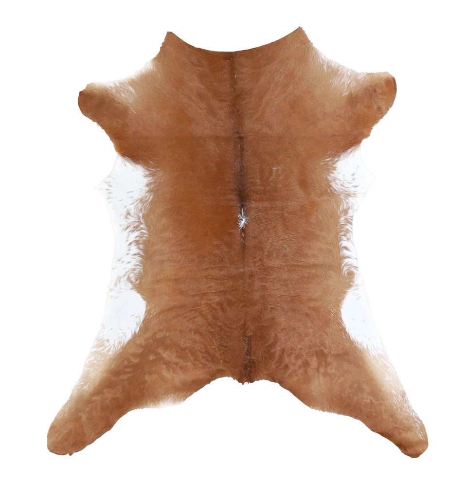 Calfhide Approx 2'x3' #A42349 by Hudson Hides