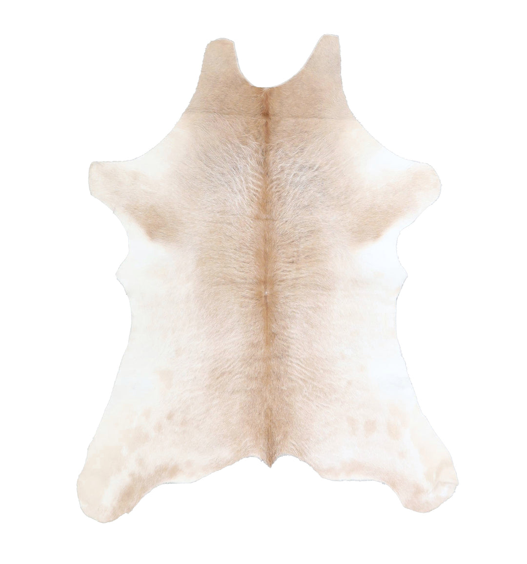 Calfhide Approx 2'x3' #A42352 by Hudson Hides