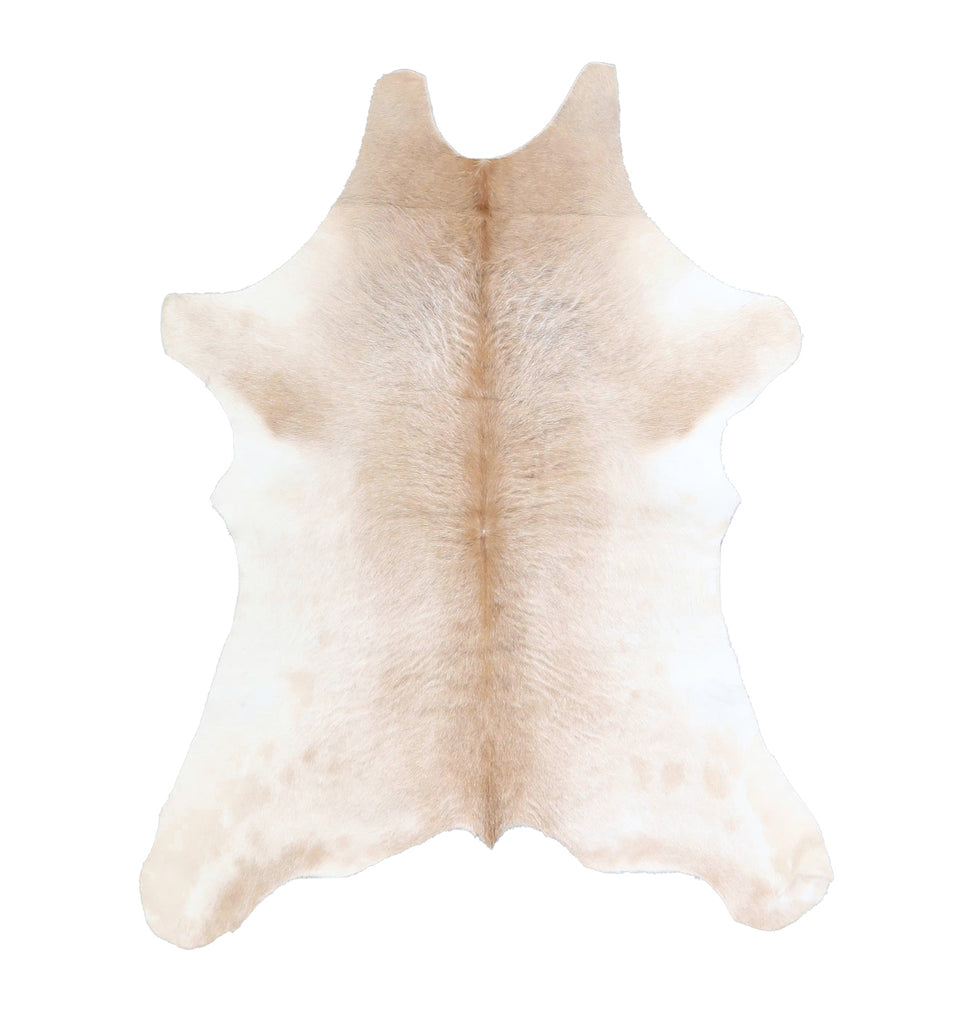 Calfhide Approx 2'x3' #A42352 by Hudson Hides