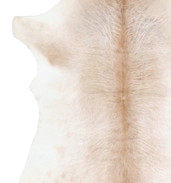 Calfhide Approx 2'x3' #A42352 by Hudson Hides