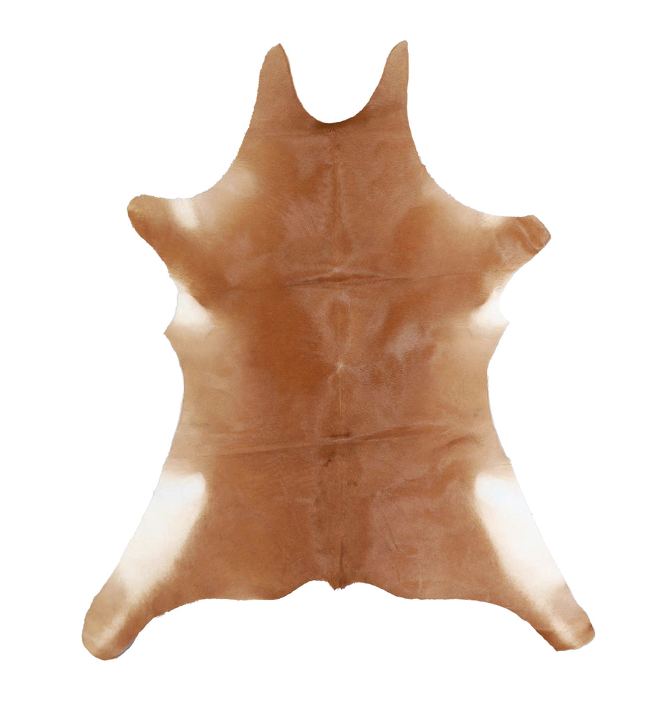 Calfhide Approx 2'x3' #A42353 by Hudson Hides